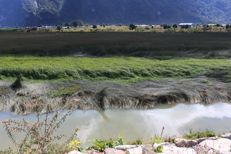 Municipalidad de Aysén defiende retiro de solicitud de reconocimiento del humedal urbano «Las Ranas»